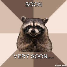 resized_evil-plotting-raccoon-meme-generator-soon-very-soon-fcff44[1].jpg